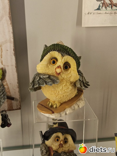 27 фото: Музей сов