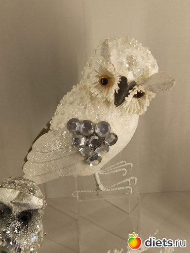 28 фото: Музей сов