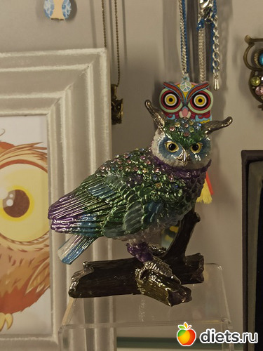 31 фото: Музей сов