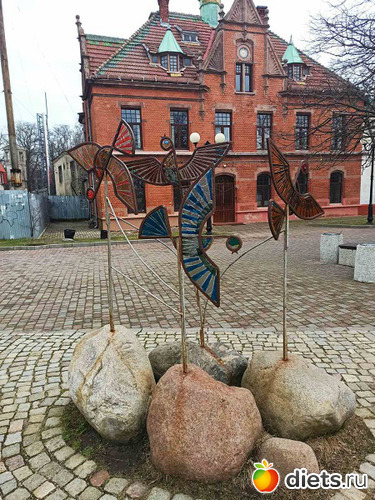 32 фото: Музей сов