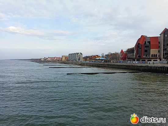 33 фото: Музей сов