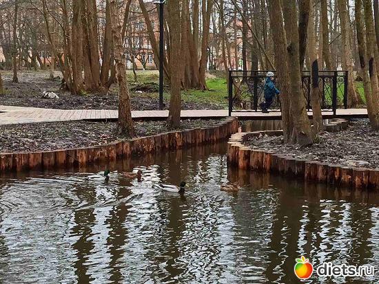 34 фото: Музей сов