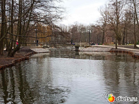 35 фото: Музей сов