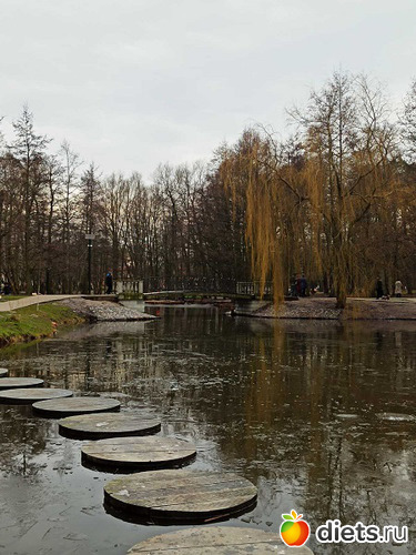 37 фото: Музей сов