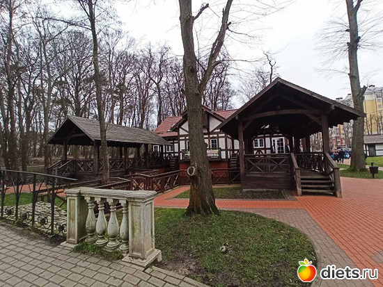 38 фото: Музей сов