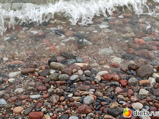 40 фото: Музей сов