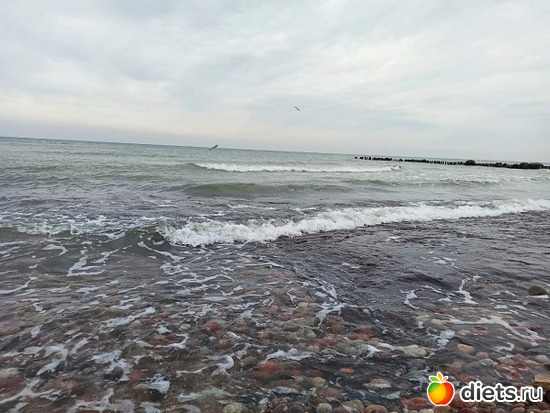 41 фото: Музей сов