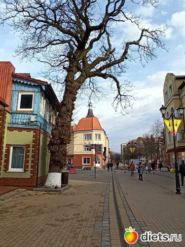 42 фото: Музей сов