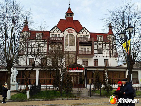 43 фото: Музей сов