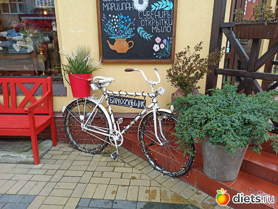 45 фото: Музей сов