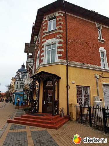 47 фото: Музей сов