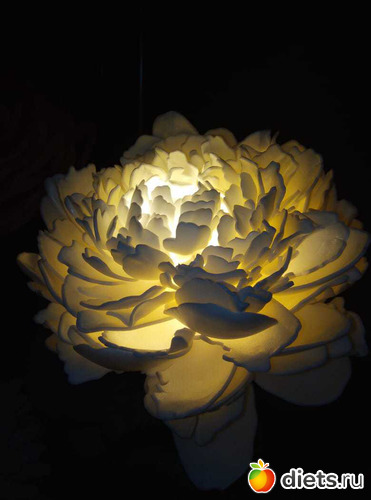 ������� ����������, ������: ��� �����