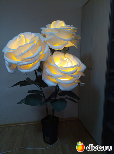 Три Розы, альбом: Мое хобби