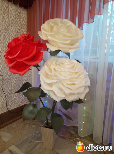 ���� ��� ����, ������: ��� �����