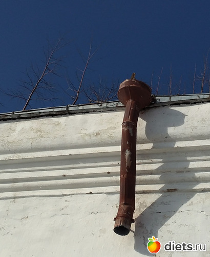 43 ����: ������