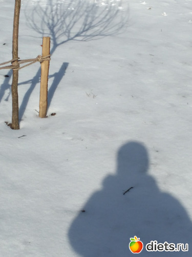 48 ����: ������