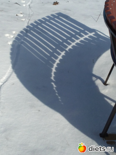 49 ����: ������