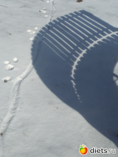 50 ����: ������