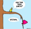 Плюс 1кг за праздники, а сколько набрали вы?)