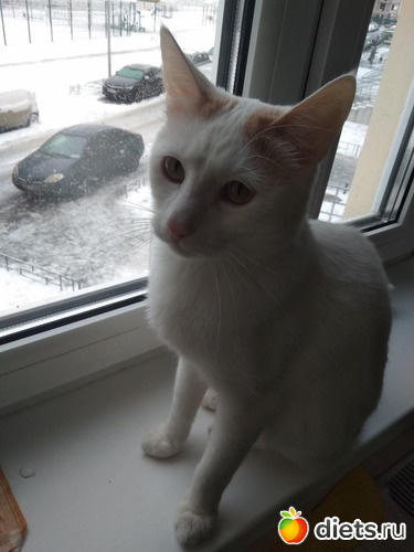 ����2, ������: ���� 2020