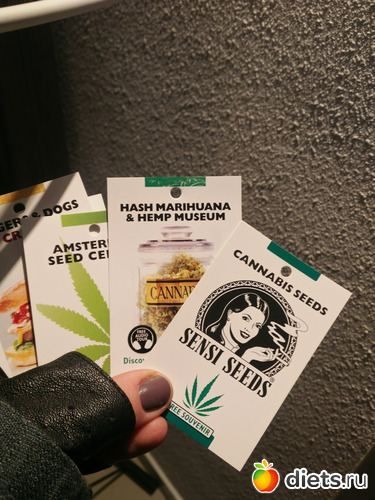 13 фото: Амстердам