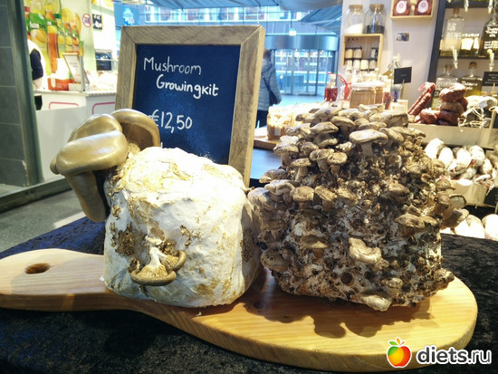 17 ����: ���������2