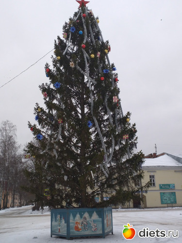 17 ����: ������