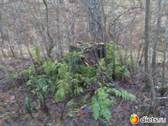 19 фото: Разное