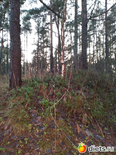 20 фото: Разное