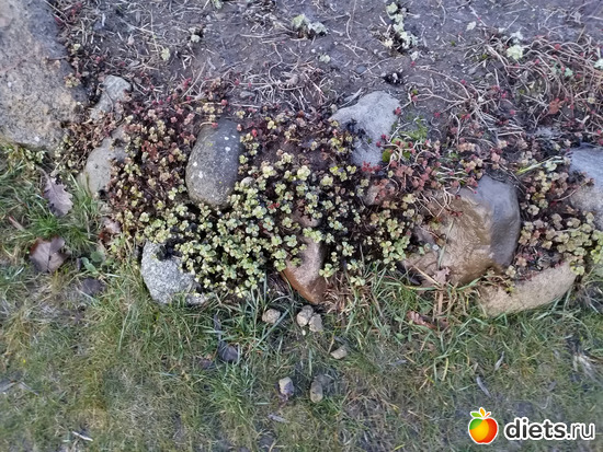 22 ����: ������