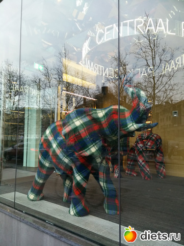 16 ����: ��� ���