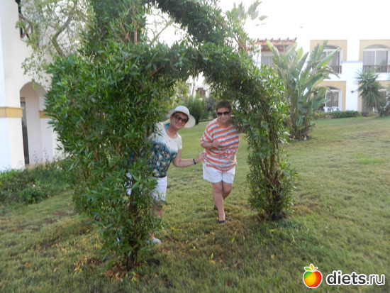 ������, ������: �� ������� � �����������