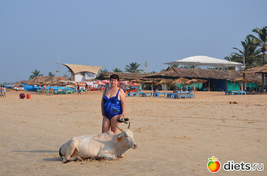 Приключение на пляже Гоа, альбом: По странам и континентам
