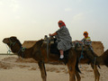 Тунис.Поездка в Сахару