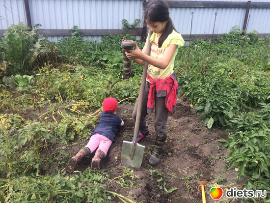 ��� ������ ���������, ������: �������