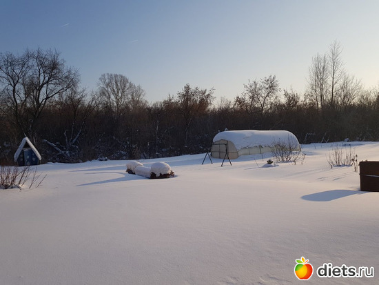 ���� ����, ������: �������