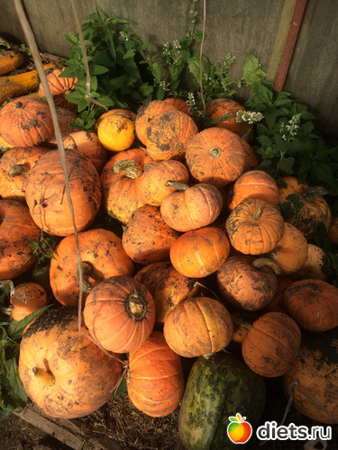 тыквы напали, альбом: позитив