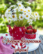 Худею без диет и заморочек. Грустный-не грустный пост о весе ( я расслабилась))), не могу разобраться с тренировками и...лебеди)