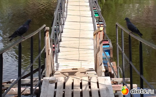 140 ����: ������