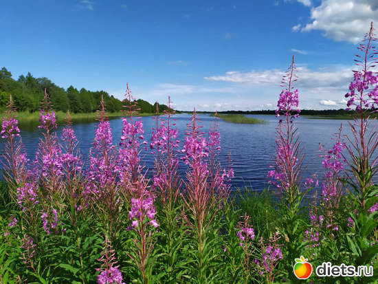 142 фото: Разное