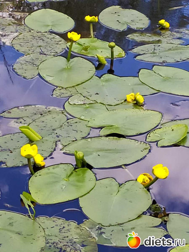 143 ����: ������