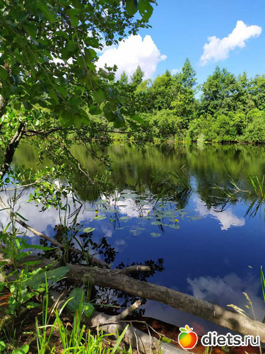 144 ����: ������