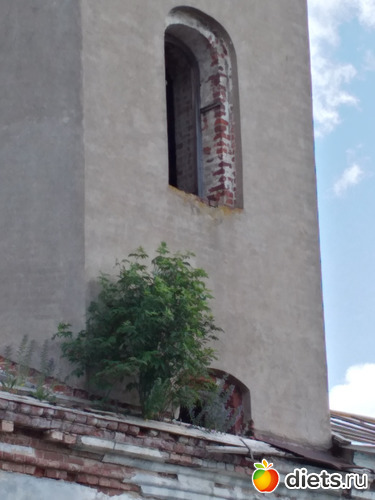 146 ����: ������