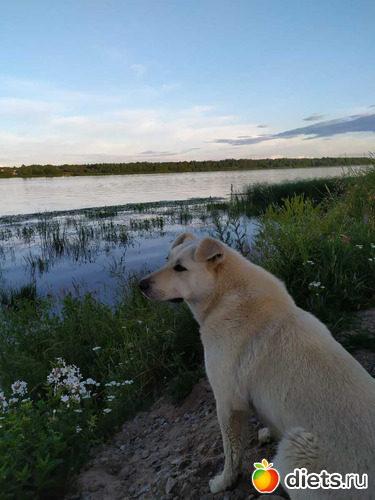 147 ����: ������