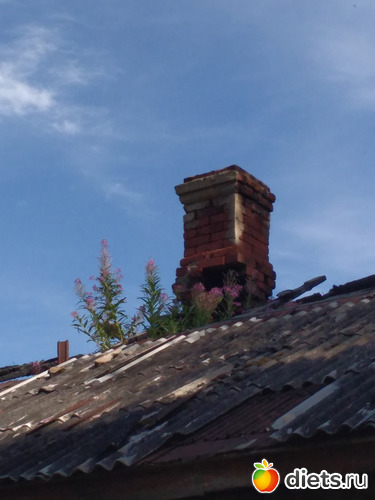 148 ����: ������