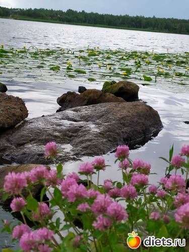 150 ����: ������