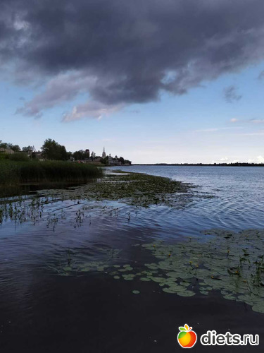 151 ����: ������