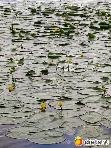 152 ����: ������