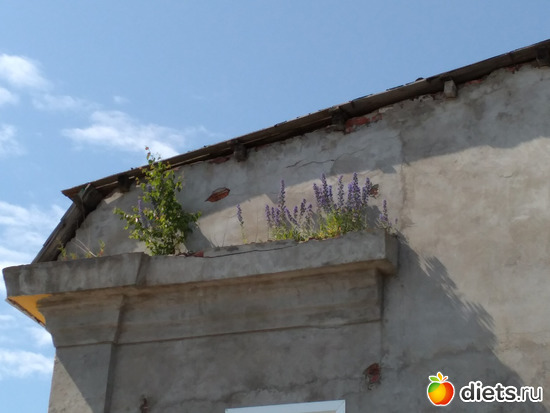 153 ����: ������