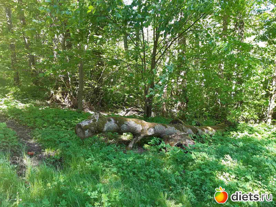 17 фото: Маленькая Шотландия в Эстонии.